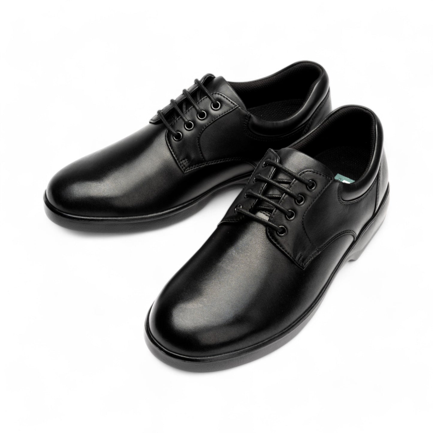 DR1008