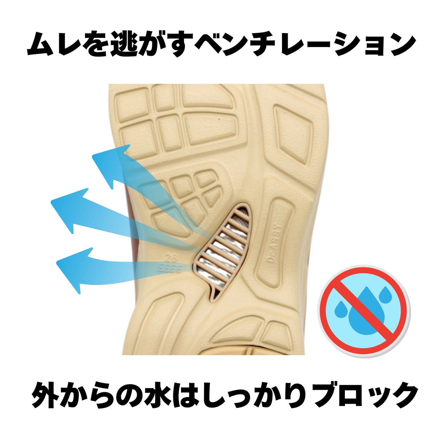 【WEB限定モデル】4E ウォーキング 本革 ファスナー｜DR7007