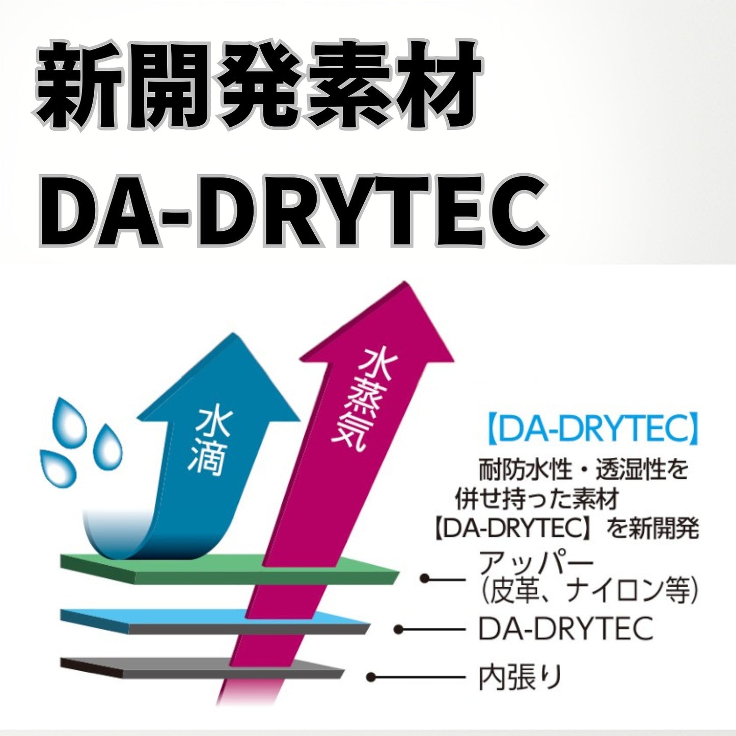 完全防水 3E レザースニーカー 本革 軽量｜DN1001