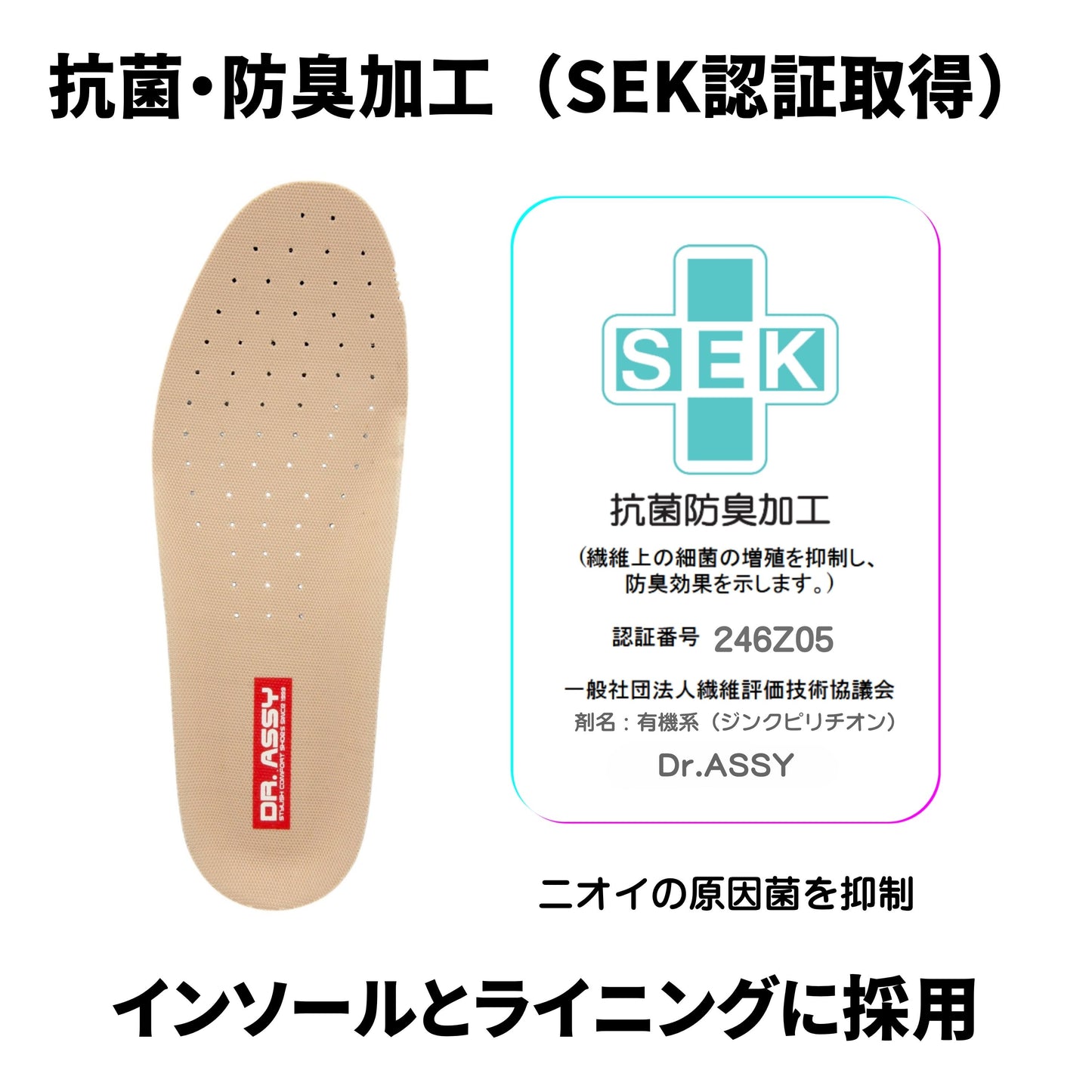 【WEB限定モデル】4E ウォーキング 本革 ファスナー｜DR7007