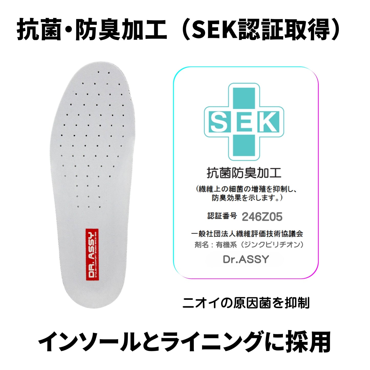 【WEB限定モデル】4E ウォーキング 本革 ファスナー｜DR7007